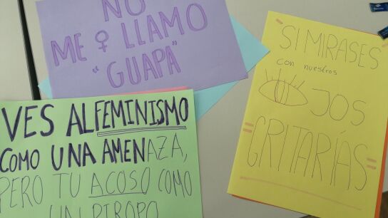 Carteles creados por la joven en el colegio