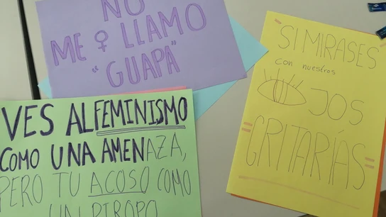 Carteles creados por la joven en el colegio Carteles creados por la joven en el colegio