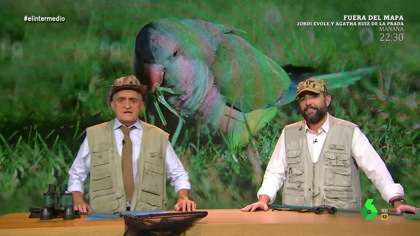 animales fantásticos animales fantásticos