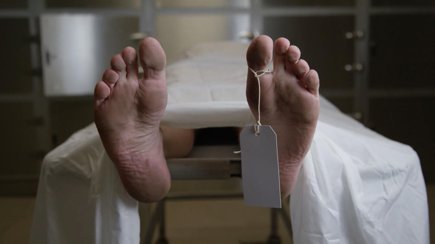 'Hasta que la muerte no nos separe', literatura desde el más allá 'Hasta que la muerte no nos separe', literatura desde el más allá
