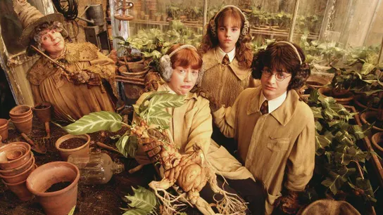 Tráiler de Harry Potter y la Cámara de los Secretos Mandrágora