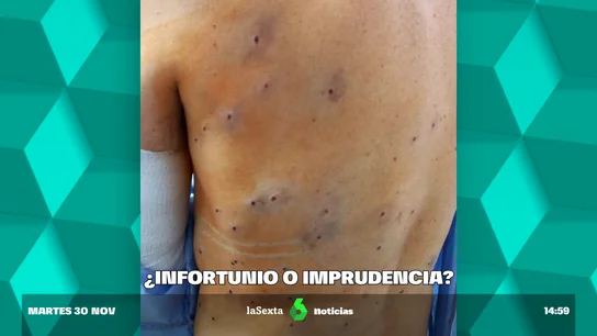 confundido conejo confundido conejo