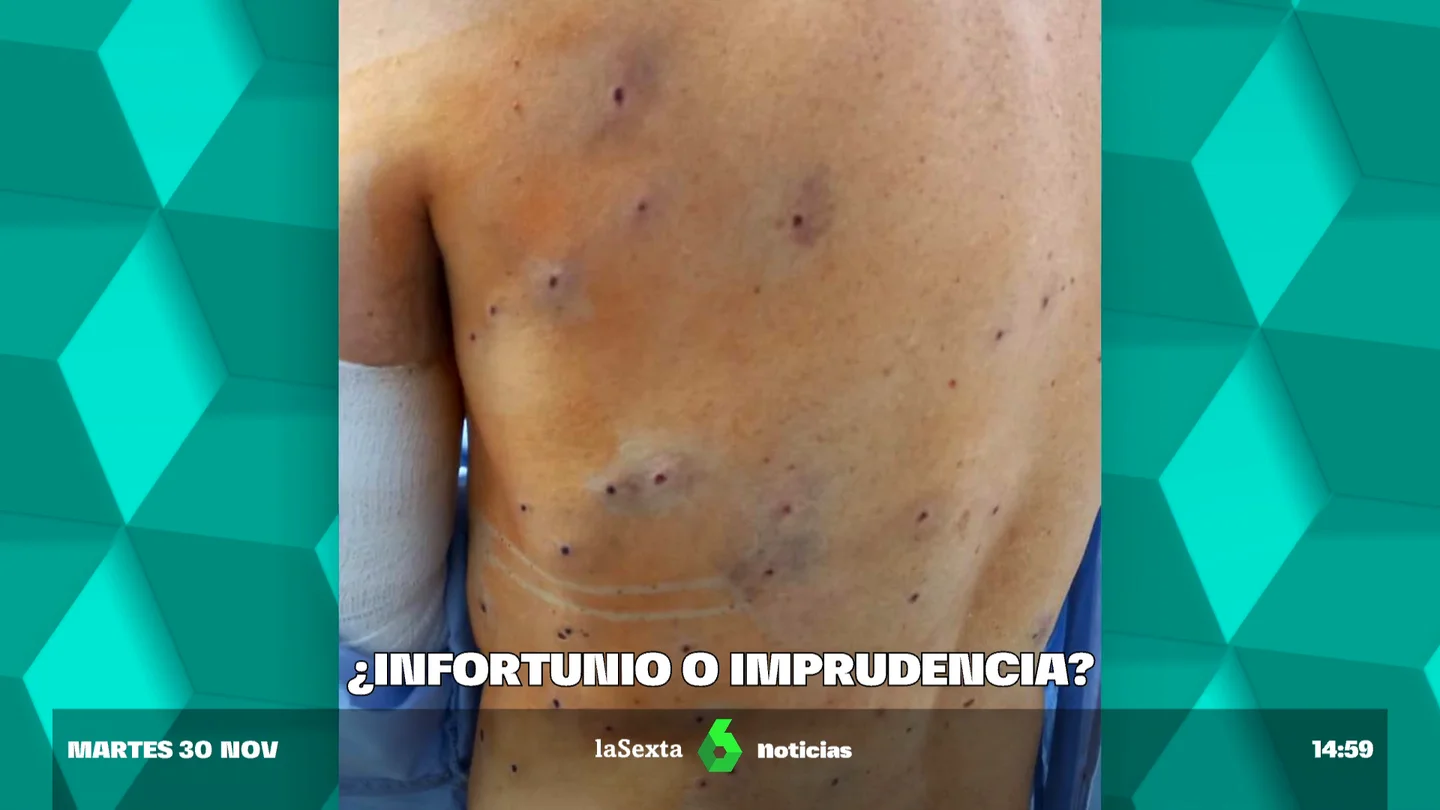 confundido conejo confundido conejo