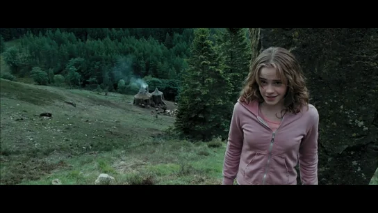 Las escenas que demuestran quién es el verdadero amor de Emma Watson en Harry Potter: "Él lo sabía totalmente"  Las escenas que demuestran quién es el verdadero amor de Emma Watson en Harry Potter: "Él lo sabía totalmente"
