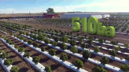 La paradoja del cáñamo industrial: la planta puede cultivarse en España, pero los productos no pueden hacerse aquí La paradoja del cáñamo industrial: la planta puede cultivarse en España, pero los productos no pueden hacerse aquí