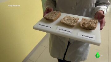 El sorprendente resultado de analizar en un laboratorio el pan integral de un supermercado, una franquicia y un obrador
