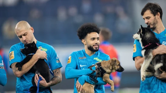 Los jugadores del Zenit, con perritos Los jugadores del Zenit, con perritos