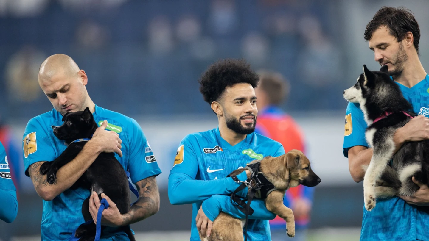 Los jugadores del Zenit, con perritos Los jugadores del Zenit, con perritos