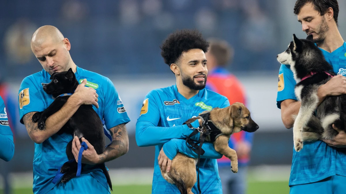 Los jugadores del Zenit, con perritos