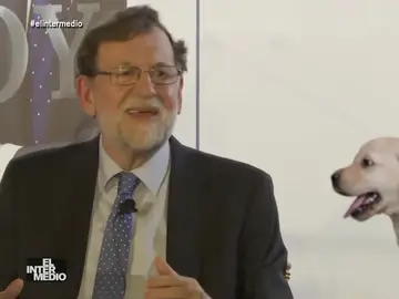 Vídeo manipulado - La sorprendente conversación de Mariano Rajoy con un cachorro: &quot;Te diré algo más para que veas lo que mandamos tú y yo&quot;