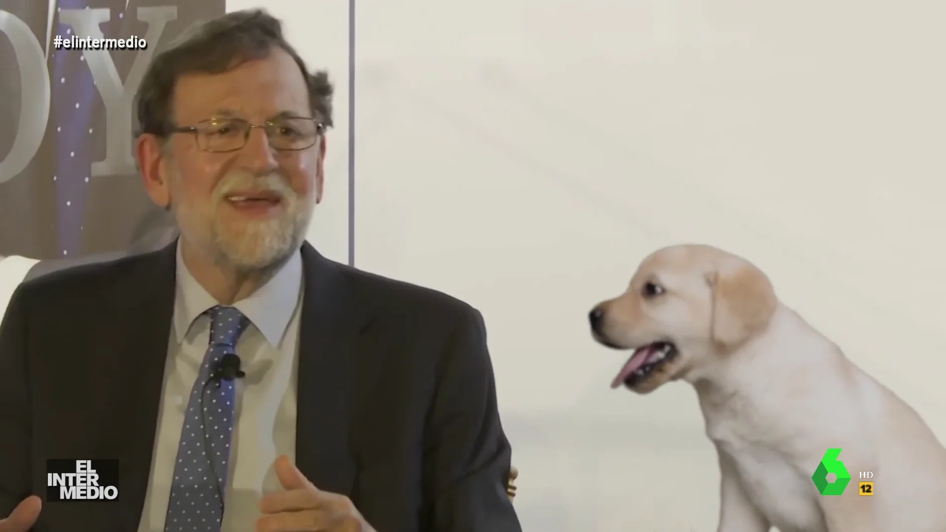Vídeo manipulado - La sorprendente conversación de Mariano Rajoy con un cachorro: "Te diré algo más para que veas lo que mandamos tú y yo"
