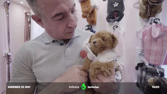 De joyas caninas con rubíes a bolsos italianos y tratamientos de caviar: así es el mercado del lujo para mascotas De joyas caninas con rubíes a bolsos italianos y tratamientos de caviar: así es el mercado del lujo para mascotas