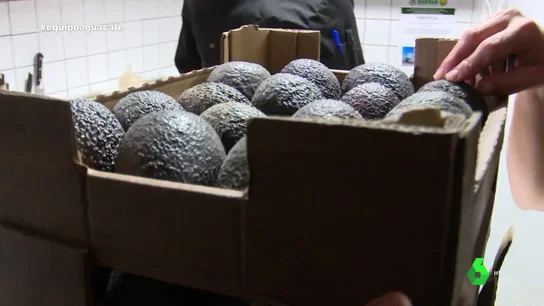 La fiebre del aguacate, sin límites: "Nace del rechazo de los millennials a la comida basura" La fiebre del aguacate, sin límites: "Nace del rechazo de los millennials a la comida basura"