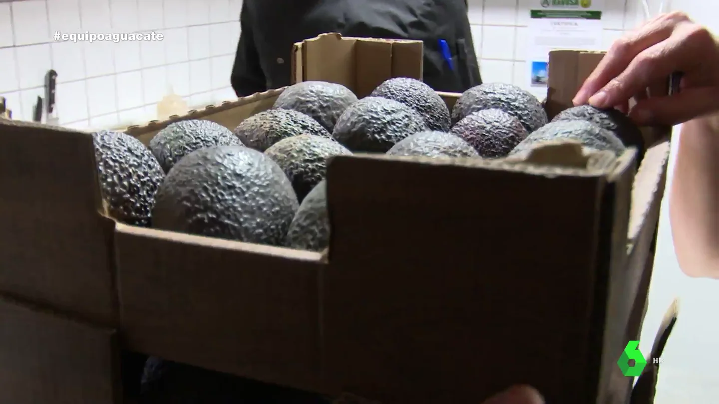 La fiebre del aguacate, sin límites: "Nace del rechazo de los millennials a la comida basura" La fiebre del aguacate, sin límites: "Nace del rechazo de los millennials a la comida basura"