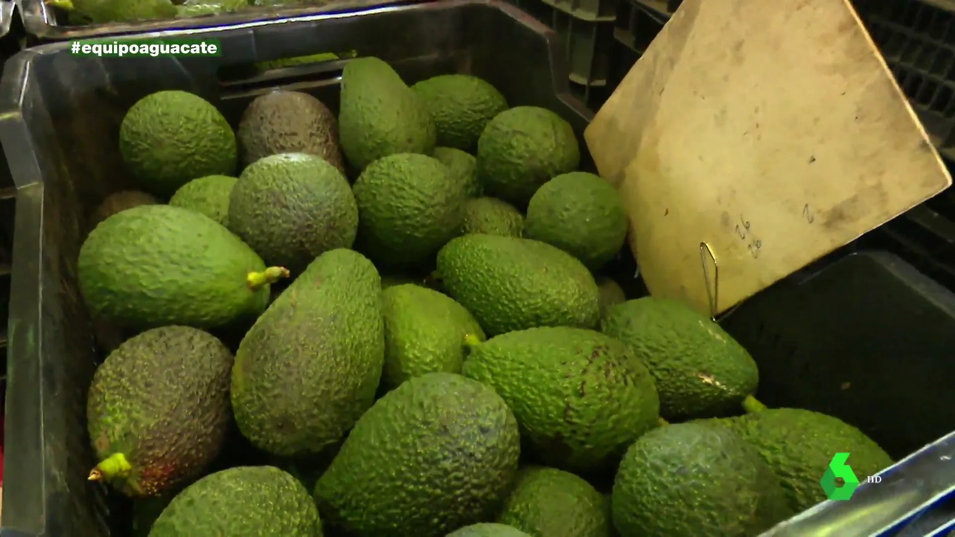 Aguacates robados que terminan en el circuito legal pese a los controles, o cómo los ladrones hacen negocio delinquiendo