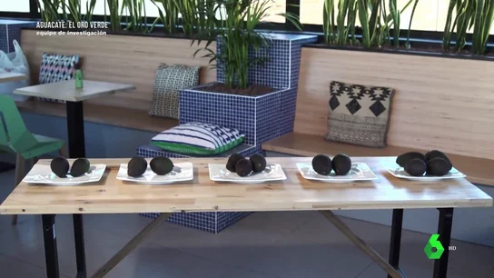 Este es el resultado de analizar aguacates de un súper, un mercado tradicional, una frutería gourmet y una tienda asiática Este es el resultado de analizar aguacates de un súper, un mercado tradicional, una frutería gourmet y una tienda asiática