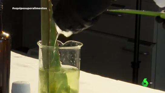 La cara oculta del aloe vera: debe controlarse el consumo de sus sustancias derivadas La cara oculta del aloe vera: debe controlarse el consumo de sus sustancias derivadas