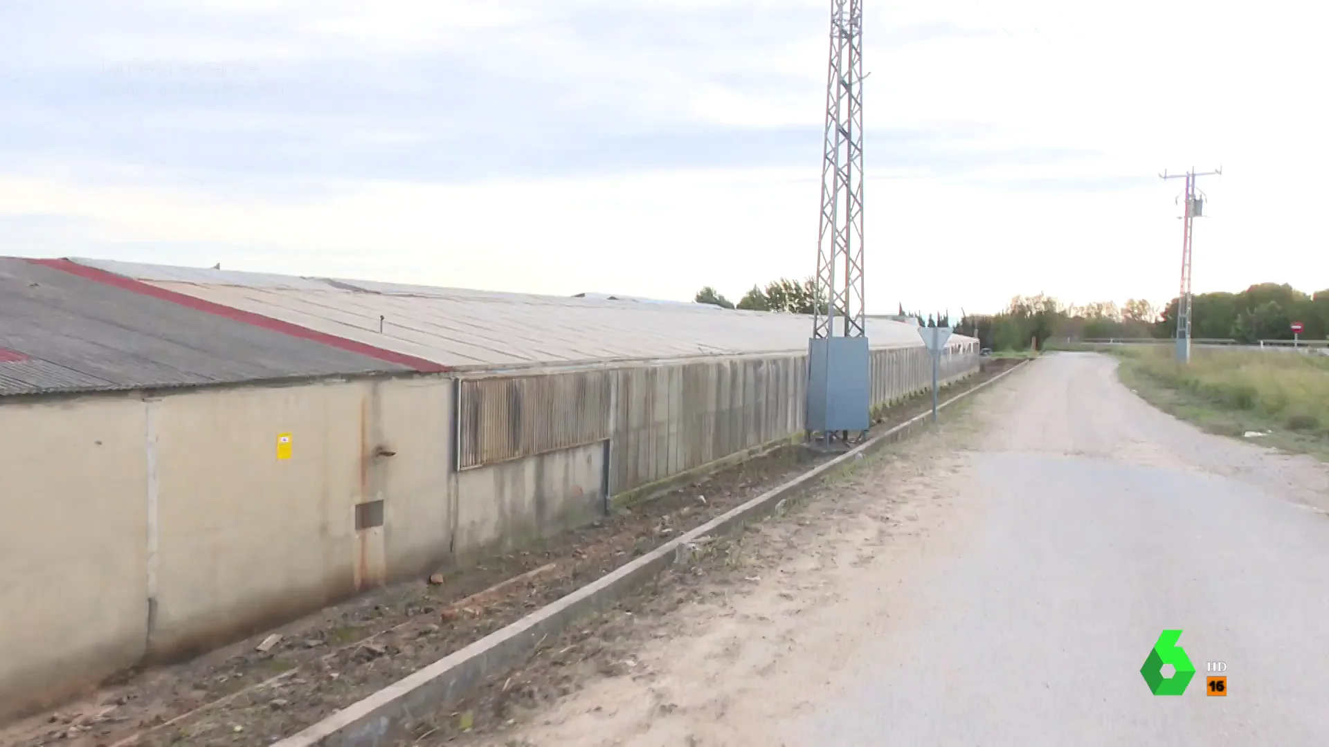 Plantación de cáñamo en Valencia