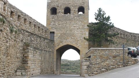Morella