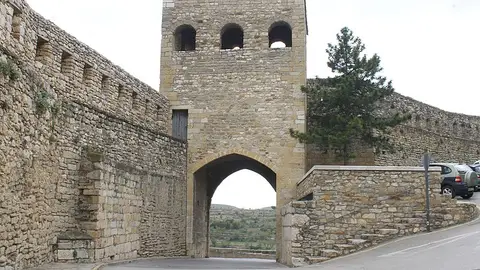 Morella Morella