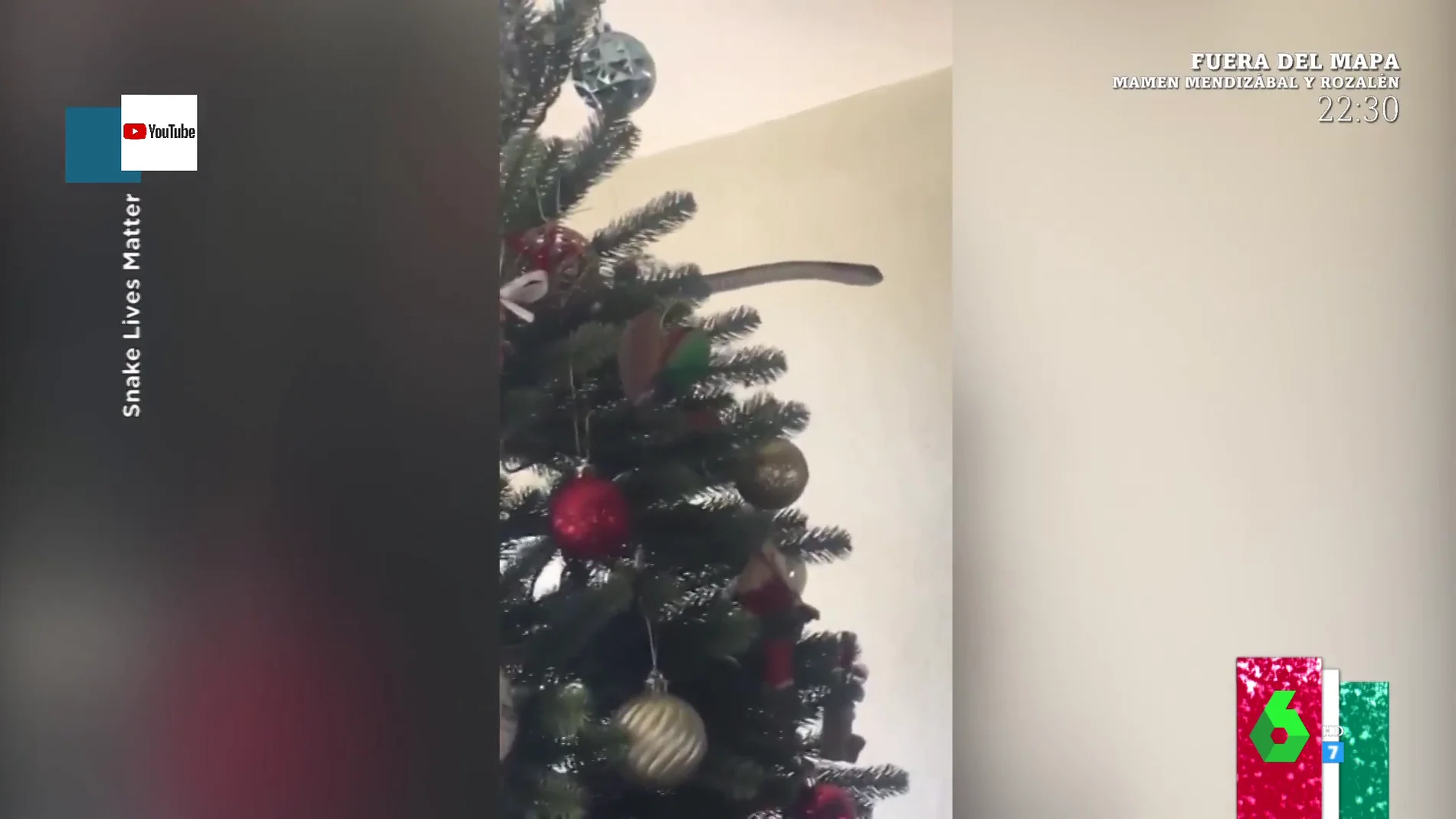 El momento en el que una de las serpientes más venenosas del mundo sale del árbol de Navidad de una casa en Sudáfrica