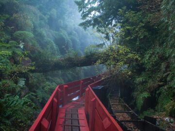 Parque Nacional Huerquehue: un destino excepcional para los amantes del senderismo en diciembre y enero