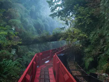 Parque Nacional Huerquehue: un destino excepcional para los amantes del senderismo en diciembre y enero Parque Nacional Huerquehue: un destino excepcional para los amantes del senderismo en diciembre y enero