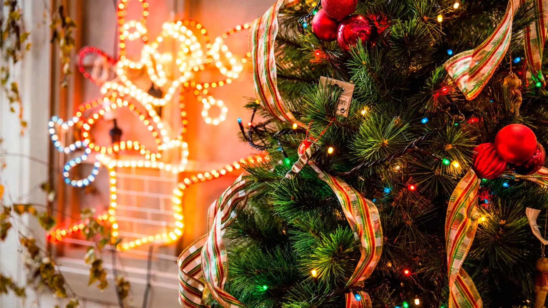 Factura de luz y el árbol de Navidad
