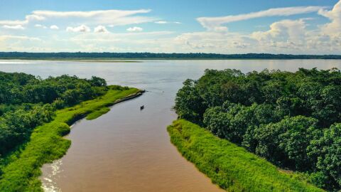 Amazonas
