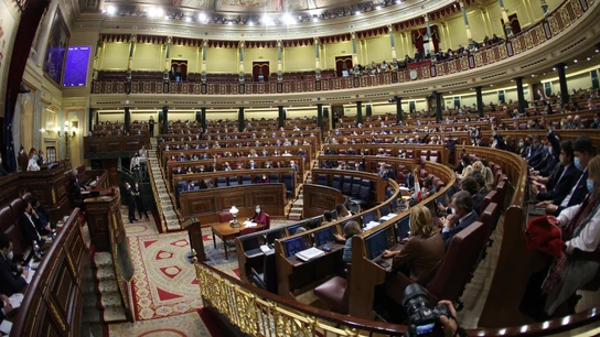 Al menos 30 diputados y 10 senadores confinados por contagio o contacto estrecho con positivos Al menos 30 diputados y 10 senadores confinados por contagio o contacto estrecho con positivos