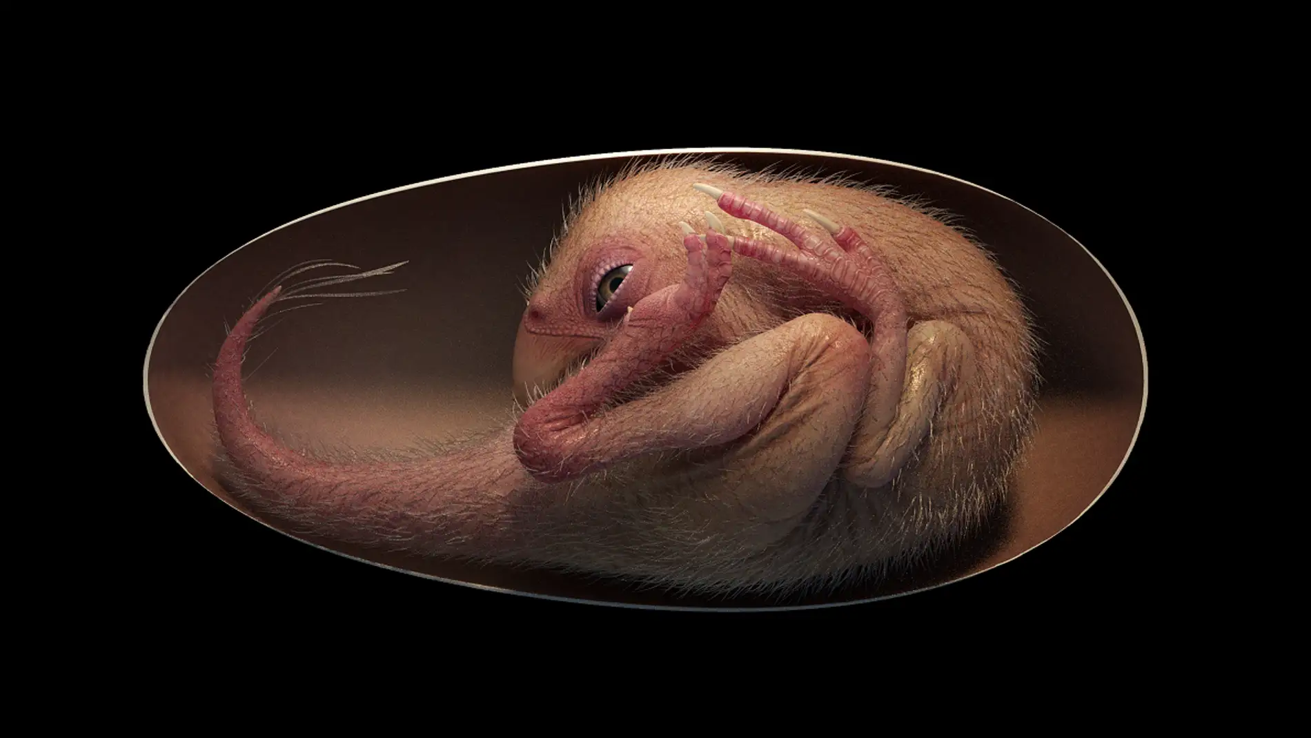 Un embrión de dinosaurio muy bien conservado aporta nuevos datos sobre las  aves modernas