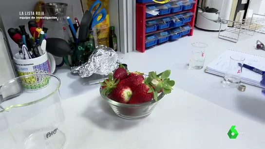 Analizamos en el laboratorio unas fresas compradas en un supermercado: esta es la impactante cantidad de pesticida que llevan Analizamos en el laboratorio unas fresas compradas en un supermercado: esta es la impactante cantidad de pesticida que llevan