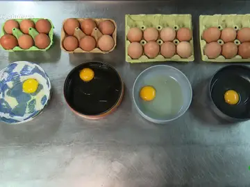 No, el color de la yema de un huevo no refleja su calidad