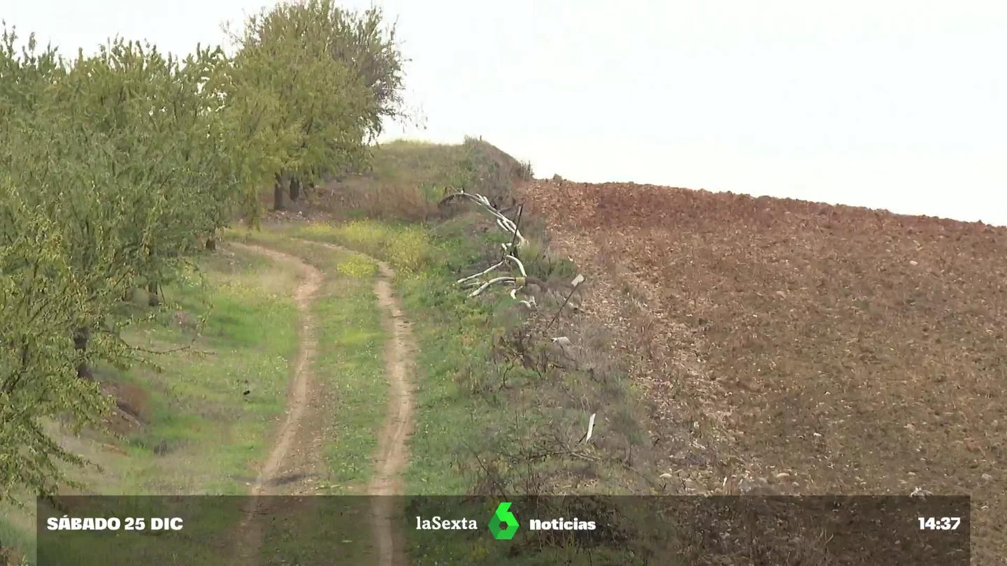 La erosión del suelo, uno de los mayores problemas medioambientales a los que se enfrenta España La erosión del suelo, uno de los mayores problemas medioambientales a los que se enfrenta España