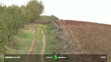  La erosión del suelo, uno de los mayores problemas medioambientales a los que se enfrenta España