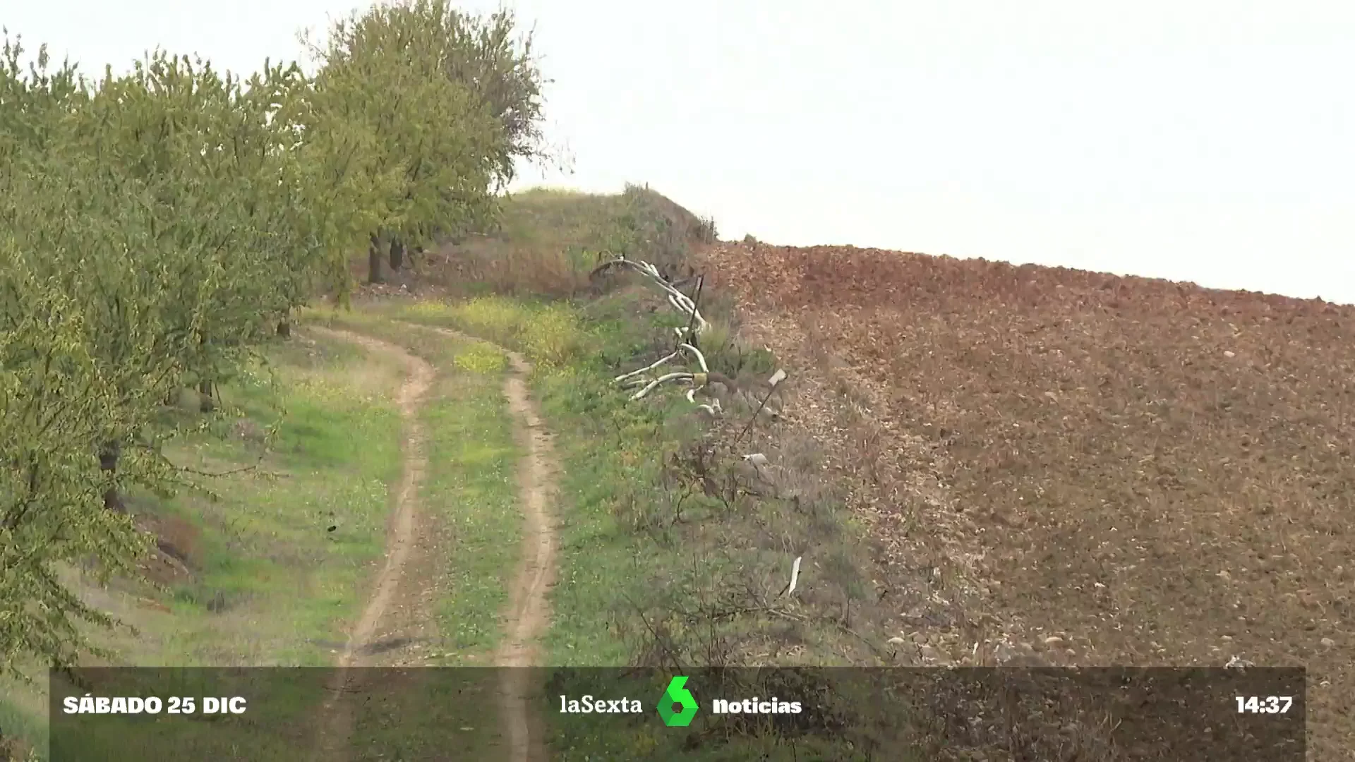  La erosión del suelo, uno de los mayores problemas medioambientales a los que se enfrenta España