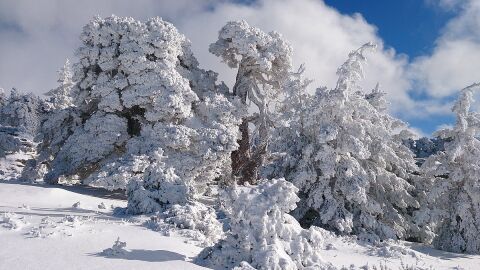 Soria