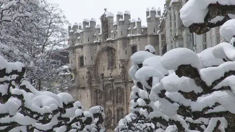 Burgos Burgos