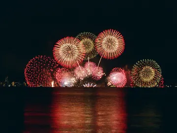 Fuegos artificiales Fuegos artificiales