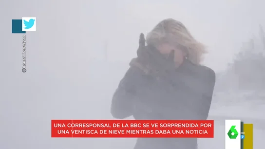 reportera reportera