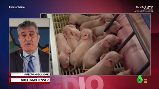 Guillermo Fesser explica la situación de las macrogranjas en EEUU: "Los pequeños ganaderos que intentan sobrevivir lo tienen muy difícil" Guillermo Fesser explica la situación de las macrogranjas en EEUU: "Los pequeños ganaderos que intentan sobrevivir lo tienen muy difícil"