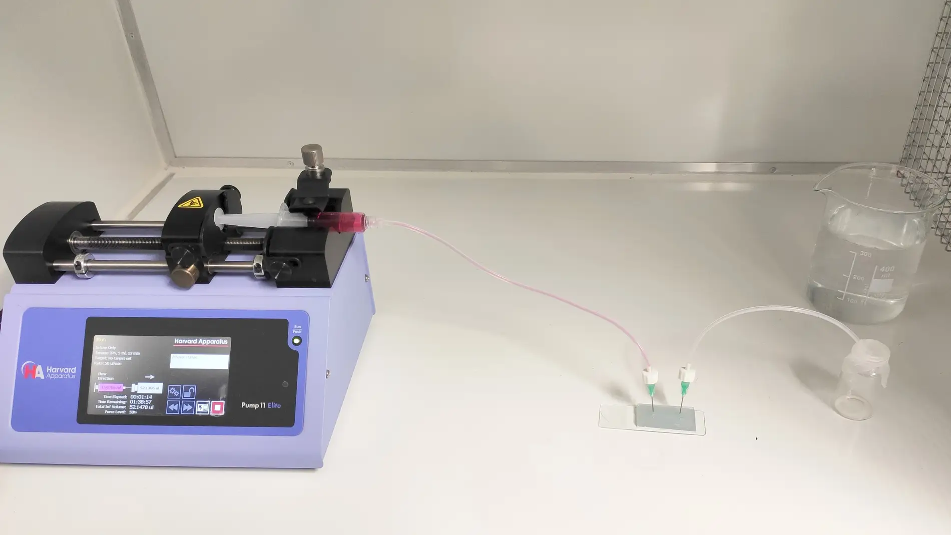 Desarrollan un biochip que abarata la fabricacion de piel humana en laboratorio