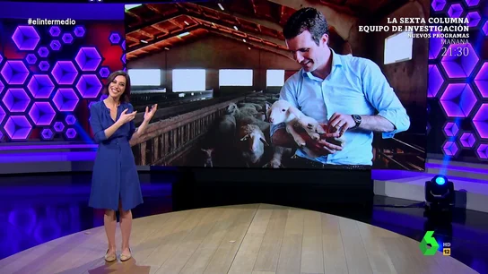 El divertido análisis de Cristina Gallego sobre el amor de Pablo Casado por el campo: "Las cabras le rehúyen como Ayuso" El divertido análisis de Cristina Gallego sobre el amor de Pablo Casado por el campo: "Las cabras le rehúyen como Ayuso"
