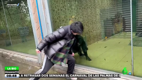 Evelyn Segura Evelyn Segura