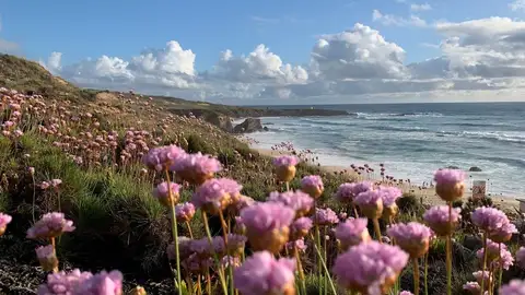 Alentejo Alentejo