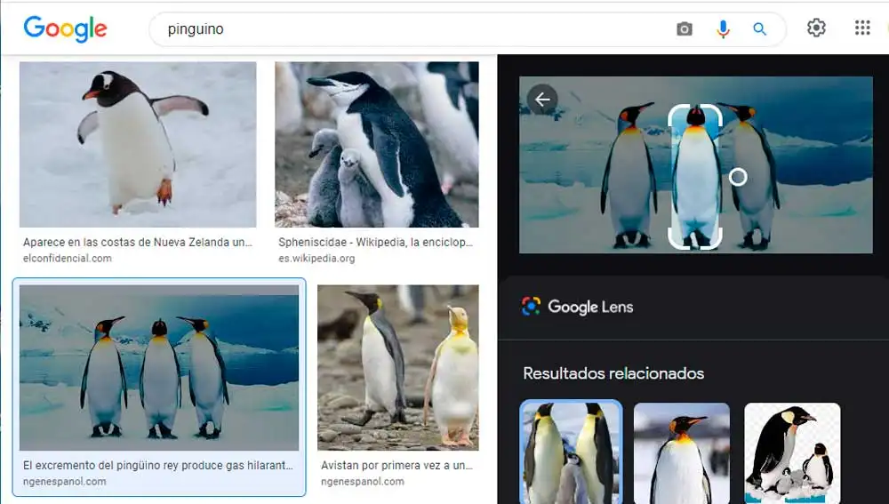 Seleccionando la zona de la imagen que nos interesa Seleccionando la zona de la imagen que nos interesa