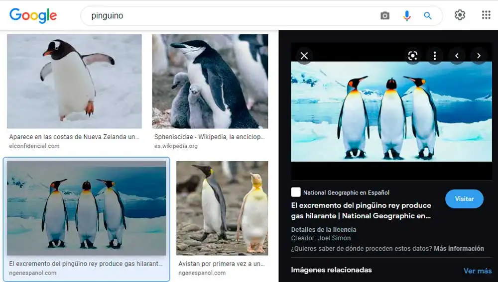 utiliza Google Lens para refinar las busquedas utiliza Google Lens para refinar las busquedas