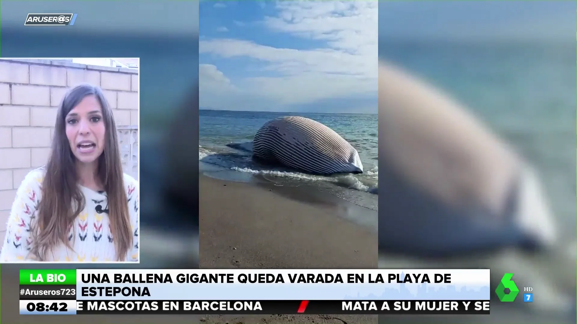 ballena estepona