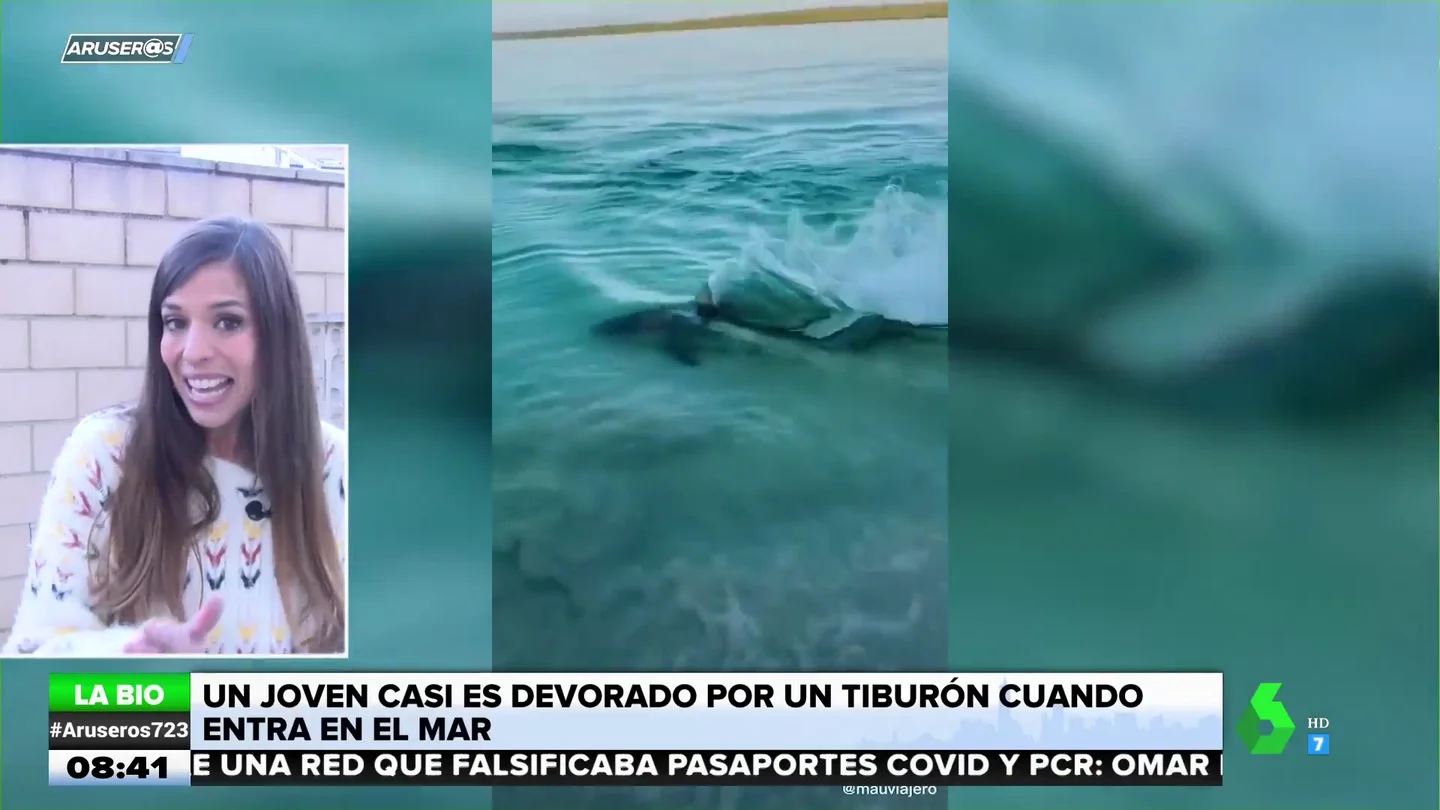 La bióloga Evelyn Segura desmonta el ataque viral de un tiburón a un tiktoker: "No os dejéis engañar" La bióloga Evelyn Segura desmonta el ataque viral de un tiburón a un tiktoker: "No os dejéis engañar"