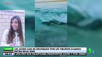 La bióloga Evelyn Segura desmonta el ataque viral de un tiburón a un tiktoker: "No os dejéis engañar"